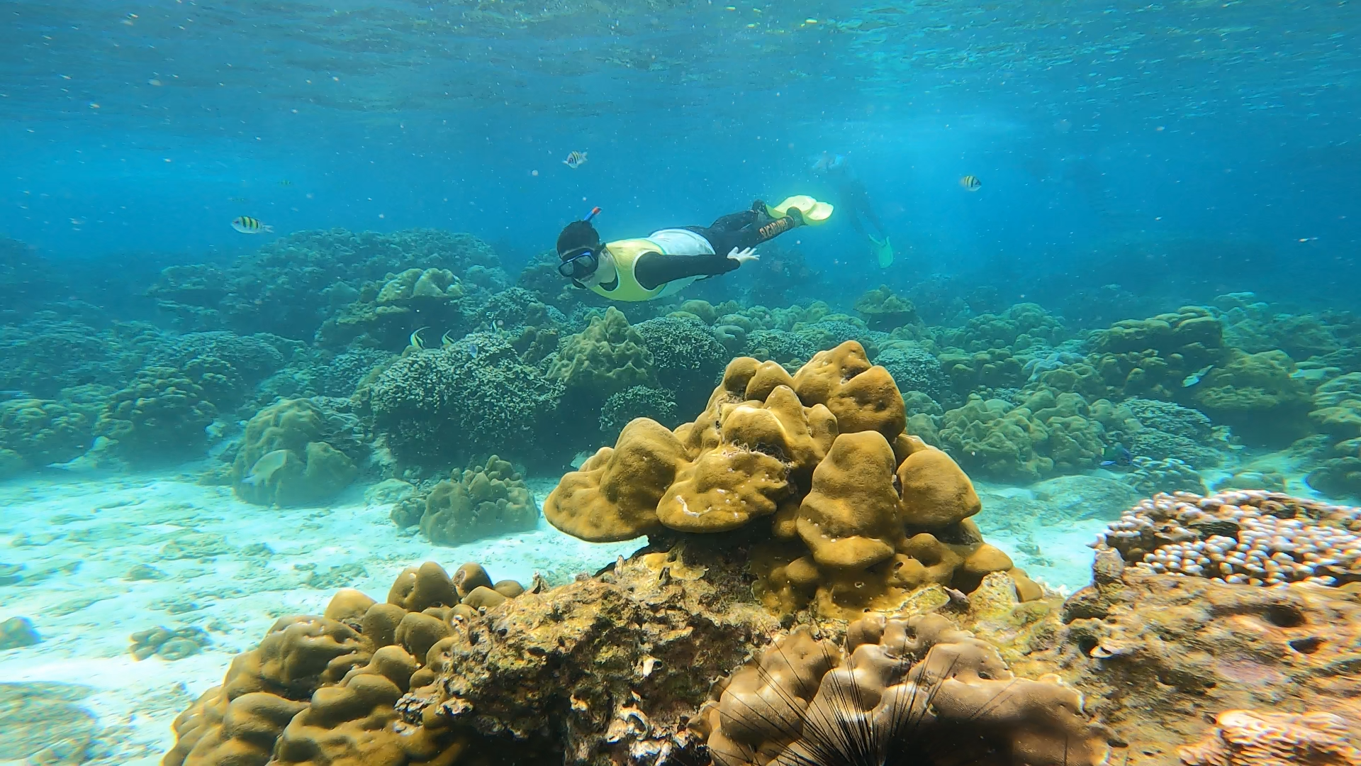 Island Hopping and Snorkeling one day trip