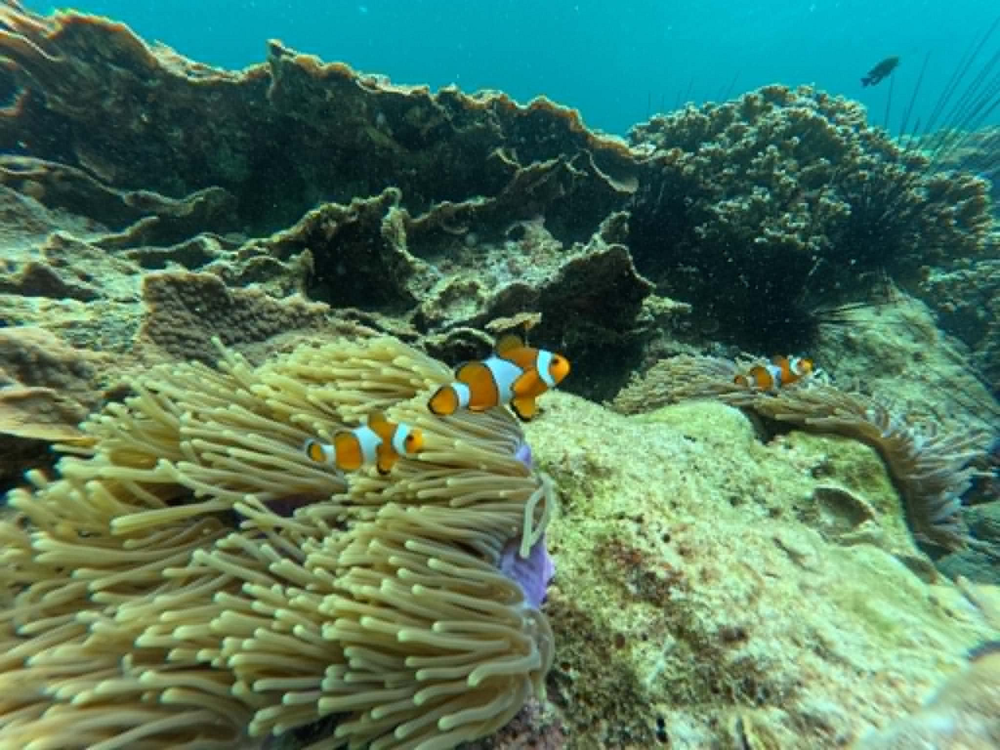Things to do in Koh Lipe